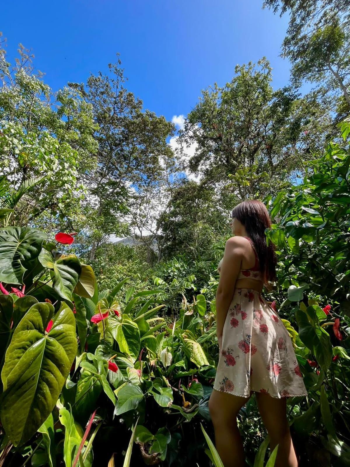 奥克萨潘帕Refugio De Orquideas别墅 外观 照片