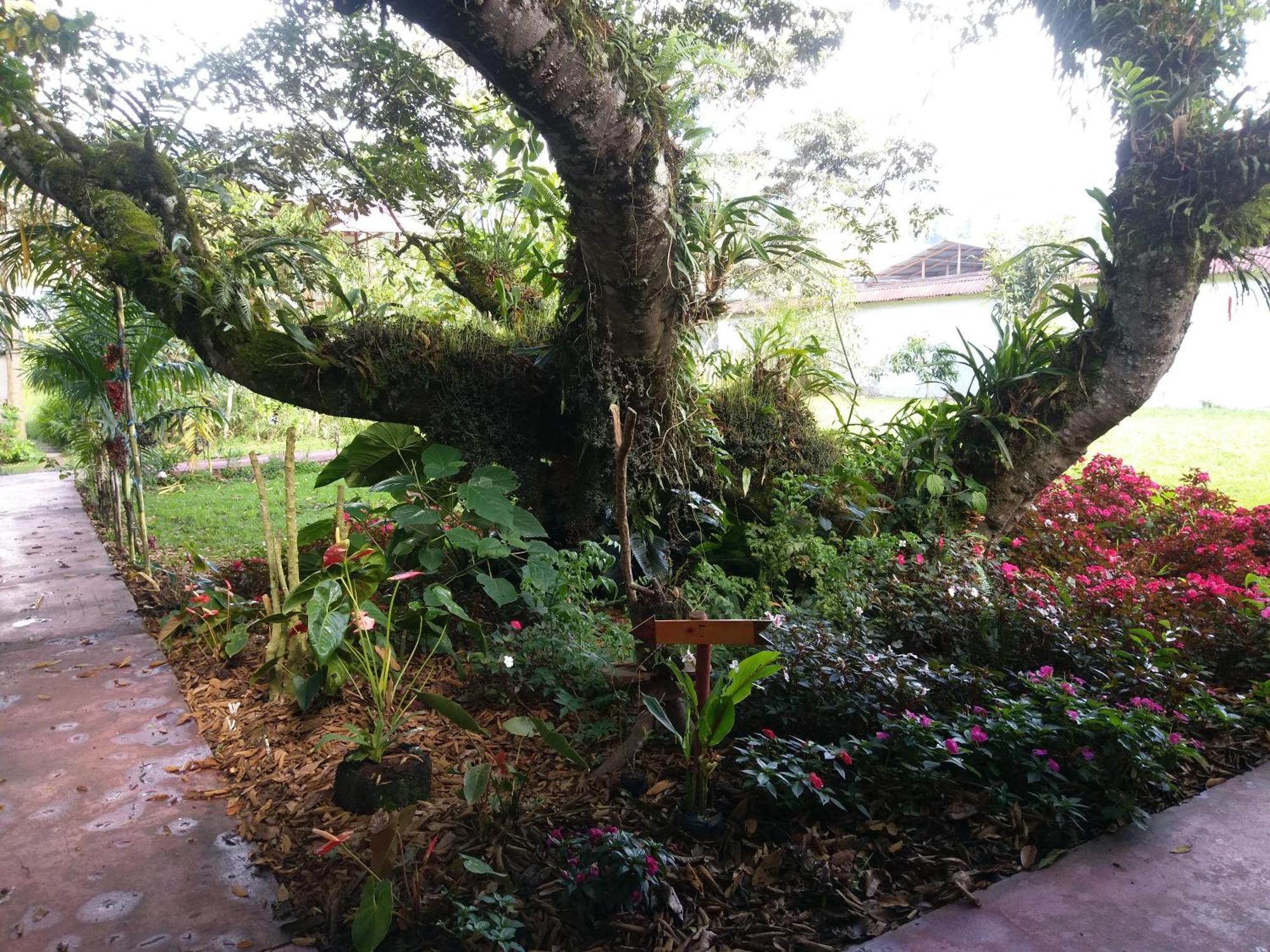 奥克萨潘帕Refugio De Orquideas别墅 外观 照片