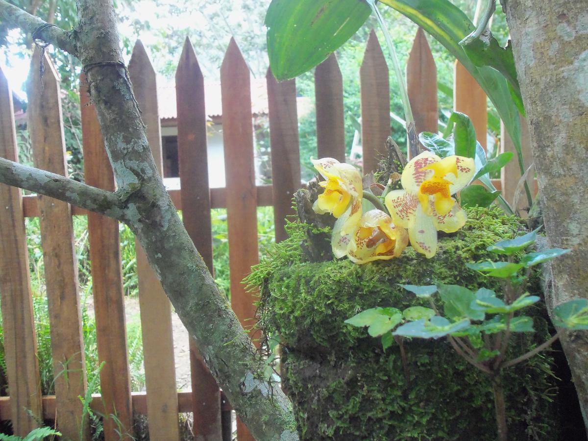 奥克萨潘帕Refugio De Orquideas别墅 外观 照片
